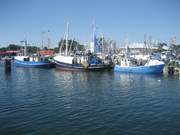 Fischerei